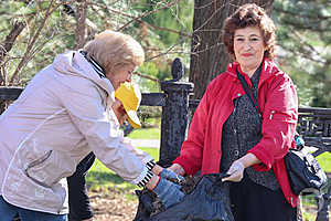 Фото: Дмитрий Рогулин / "Городские вести"