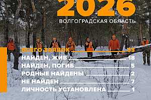 Фото предоставлено поисковым отрядом "ЛизаАлерт"