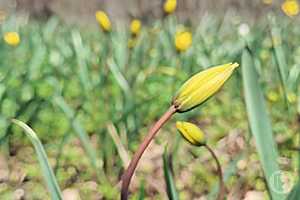 Фото: "Городские вести"