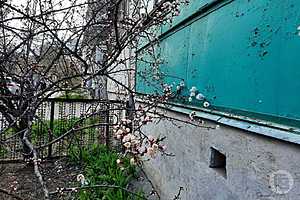 Фото:  "Городские вести"