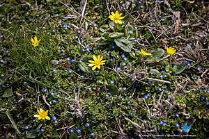 Фото: Олег Димитров / "Городские вести"