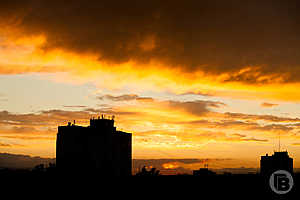 Фото: Михаил Тарасов / "Городские вести"