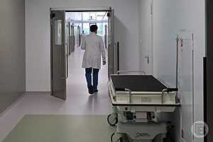 Фото: Дмитрий Рогулин / "Городские вести"