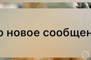Фото: "Городские вести"