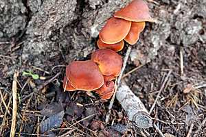 Фото: "Городские вести"