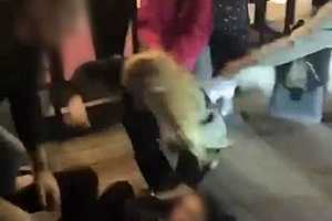 Фото: ГУ МВД России по Волгоградской области