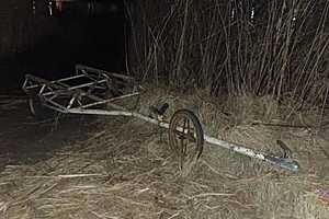 фото: ГУ МВД России по Волгоградской области