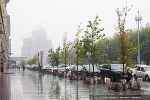 Фото: Олег Димитров / "Городские вести"