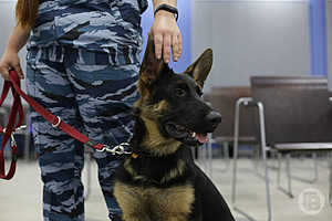 Фото: Данил Савченко / "Городские вести"