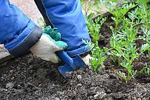 Фото: Павел Мирошкин / "Городские вести"