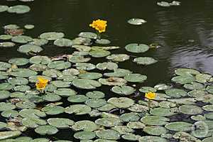 Фото: Дмитрий Рогулин / "Городские вести"