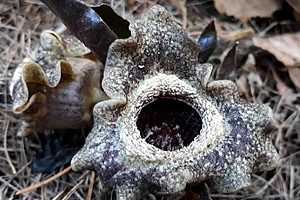 Фото: ВГСПУ