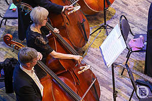 Фото: Дмитрий Рогулин / "Городские вести"