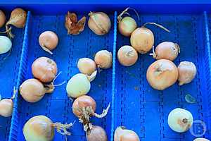 Фото: Дмитрий Рогулин/"Городские вести"