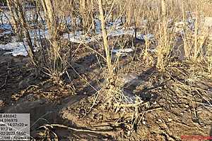 Фото: Росприроднадзор