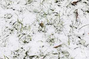 Фото: Дмитрий Рогулин / "Городские вести"