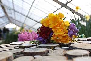 Фото: Данил Савченко / "Городские вести"