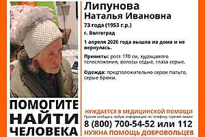 Фото: отряд "ЛизаАлерт"