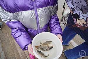 Фото: администрация Волгоградской области