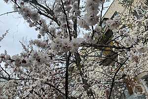 Фото: "Городские вести"