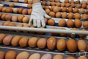 Фото: Дмитрий Рогулин / "Городские вести"