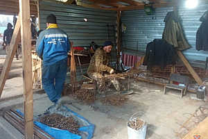 Фото: ГУ МВД России по Волгоградской области