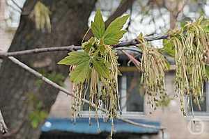 Фото: Дмитрий Рогулин/"Городские вести"