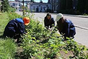 Фото: Дмитрий Рогулин / "Городские вести"