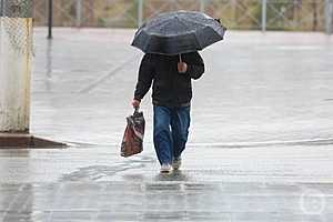 Фото: Дмитрий Рогулин / "Городские вести"