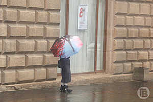 Фото: Дмитрий Рогулин / "Городские вести"