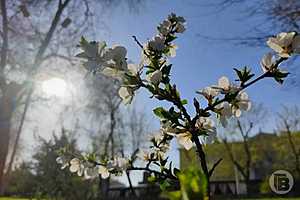 Фото: "Городские вести"