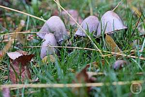 Фото: Дмитрий Рогулин / "Городские вести"