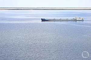 Фото: Дмитрий Рогулин / "Городские вести"