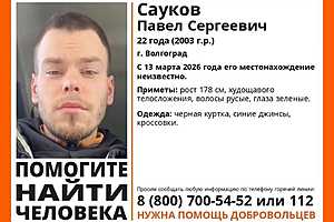 Фото предоставлено поисковым отрядом "Лиза Алерт"