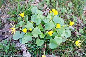 Фото: "Городские вести"