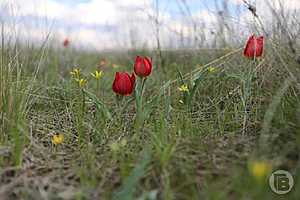 Фото: Дмитрий Рогулин / "Городские вести"