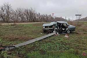 фото: ГУ МВД России по Волгоградской области