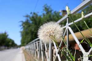 Фото: Дмитрий Рогулин / "Городские вести"