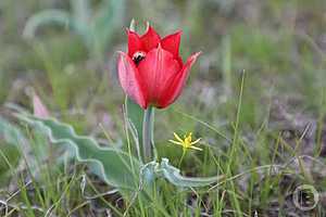 Фото: Дмитрий Рогулин / "Городские вести"