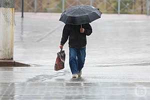 Фото: Дмитрий Рогулин / "Городские вести"