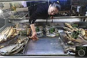 Фото: Дмитрий Рогулин / "Городские вести"