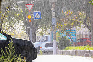 фото: Дмитрий Рогулин / "Городские вести"