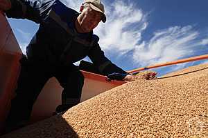 Фото: Дмитрий Рогулин / "Городские вести"