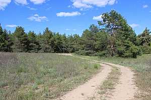 Фото: администрация Камышина