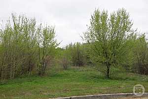 Фото: Дмитрий Рогулин / "Городские вести"