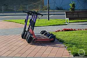 Фото: Дмитрий Рогулин/"Городские вести"