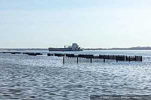 Фото: Олег Димитров / "Городские вести"