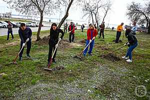 Фото: Дмитрий Рогулин/"Городские вести"
