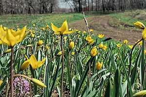Фото: "Городские вести"