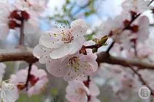 Фото: Евгения Иванова/"Городские вести"